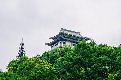 《万智牌》与《暗杀神》设计师合作卡牌游《SolForge Fusion》已抢先体验推出